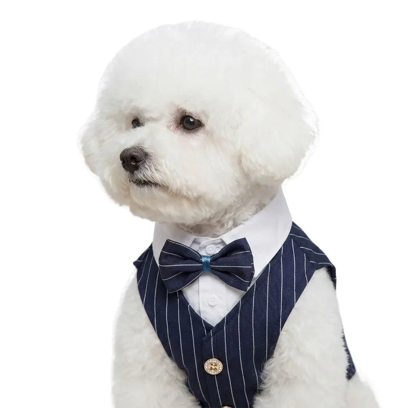 Pet Dog Spring Suit Wedding Tuxedo Shirt Vest Gentleman Costume for Teddy Bichon Small Dogs