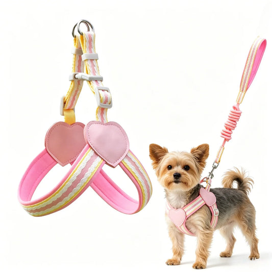 No Pull Y-shaped Dog Harness Leash Set for Small Dogs Chest Straps Anti-Twist Lightweight Harness Shiba Inu Corgi Pets Outdoor