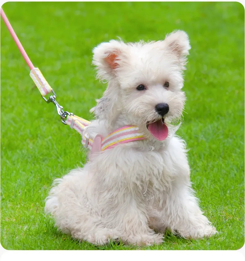No Pull Y-shaped Dog Harness Leash Set for Small Dogs Chest Straps Anti-Twist Lightweight Harness Shiba Inu Corgi Pets Outdoor