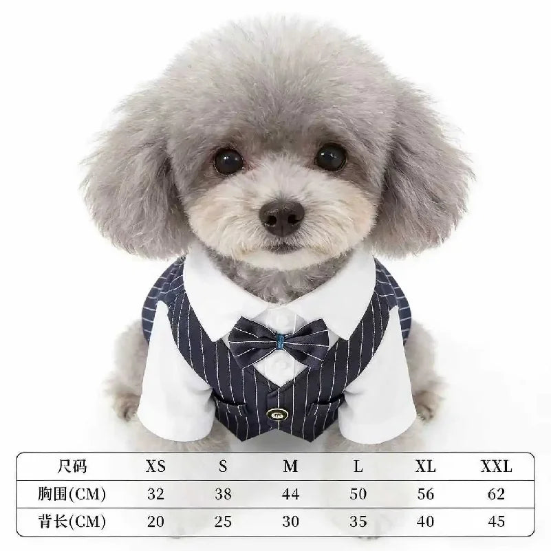 Pet Dog Spring Suit Wedding Tuxedo Shirt Vest Gentleman Costume for Teddy Bichon Small Dogs