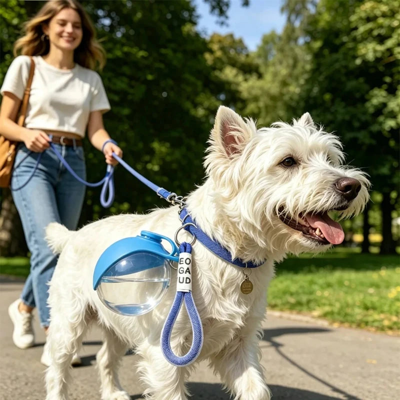 Foldable Travel Water Bottle for Pets