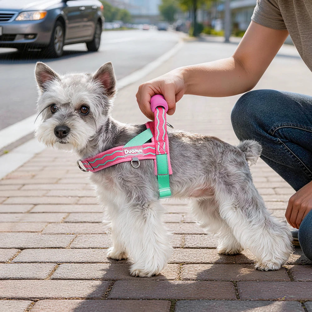 Saddle Dog Harness Soft Padded Foam Handle Liftable Outdoor Walking Puppy Breathable No Choke Small Medium Dog Pet Vest Harness